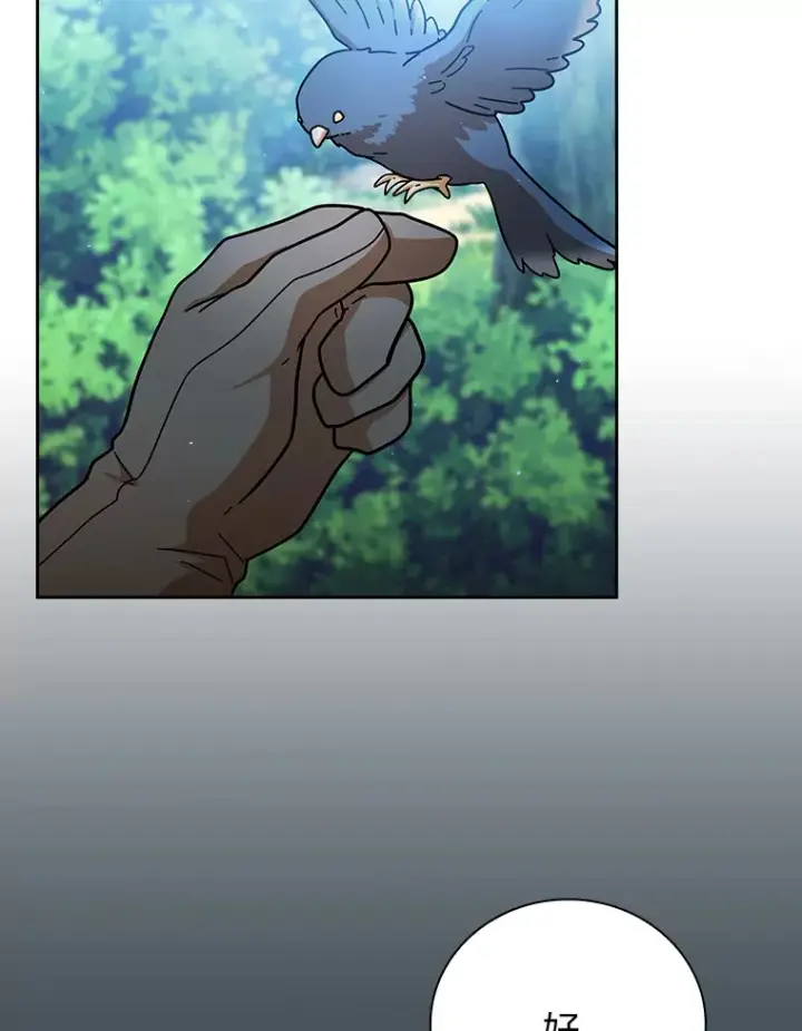 《厌学魔法师想毕业》33.基础骑行训练图66
