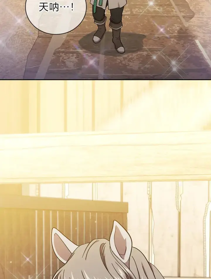《厌学魔法师想毕业》35.简单的骑马课程图79