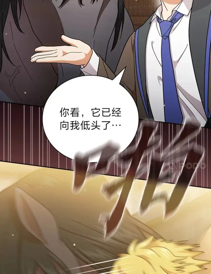 《厌学魔法师想毕业》35.简单的骑马课程图96