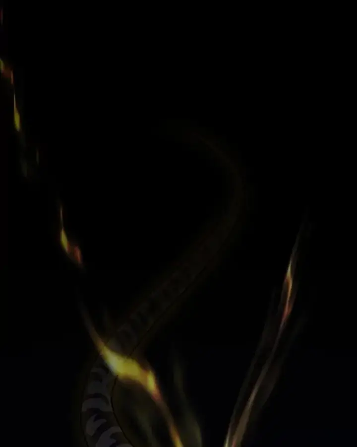《厌学魔法师想毕业》75.夜闯白虎塔图54