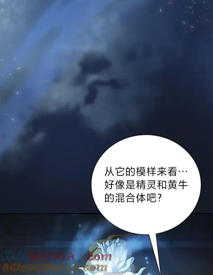 《厌学魔法师想毕业》79.精灵黄牛图53