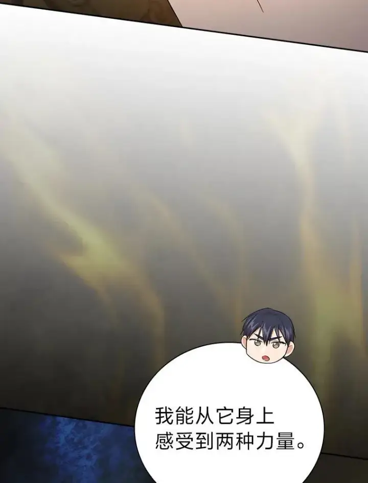 《厌学魔法师想毕业》79.精灵黄牛图63