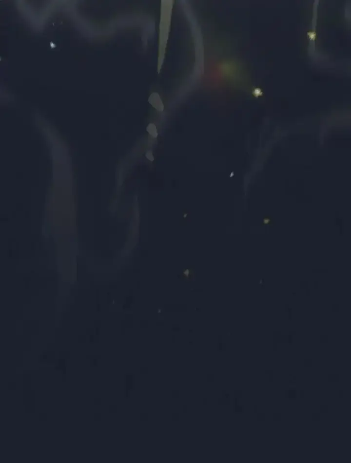 《厌学魔法师想毕业》95.成功缔约图6