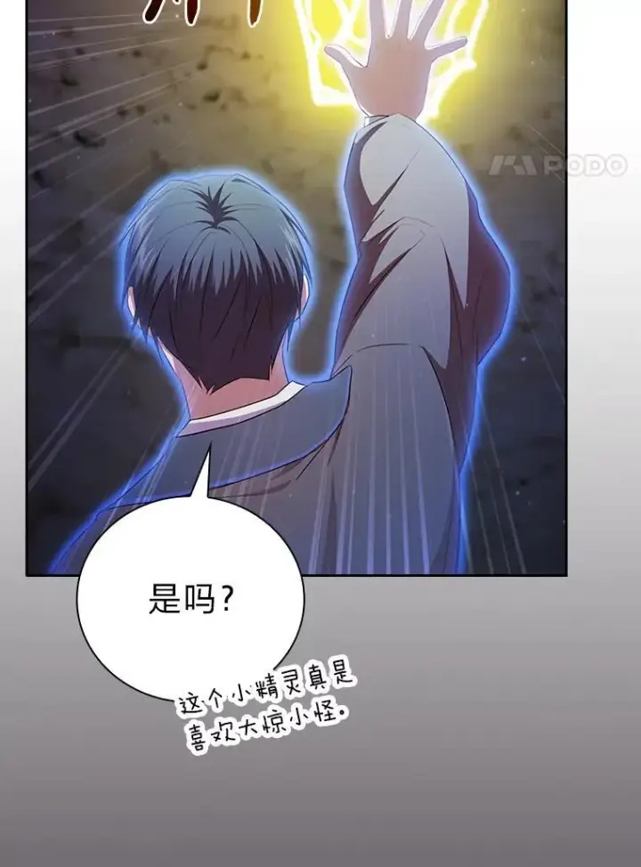 《厌学魔法师想毕业》98.精灵魔法图127