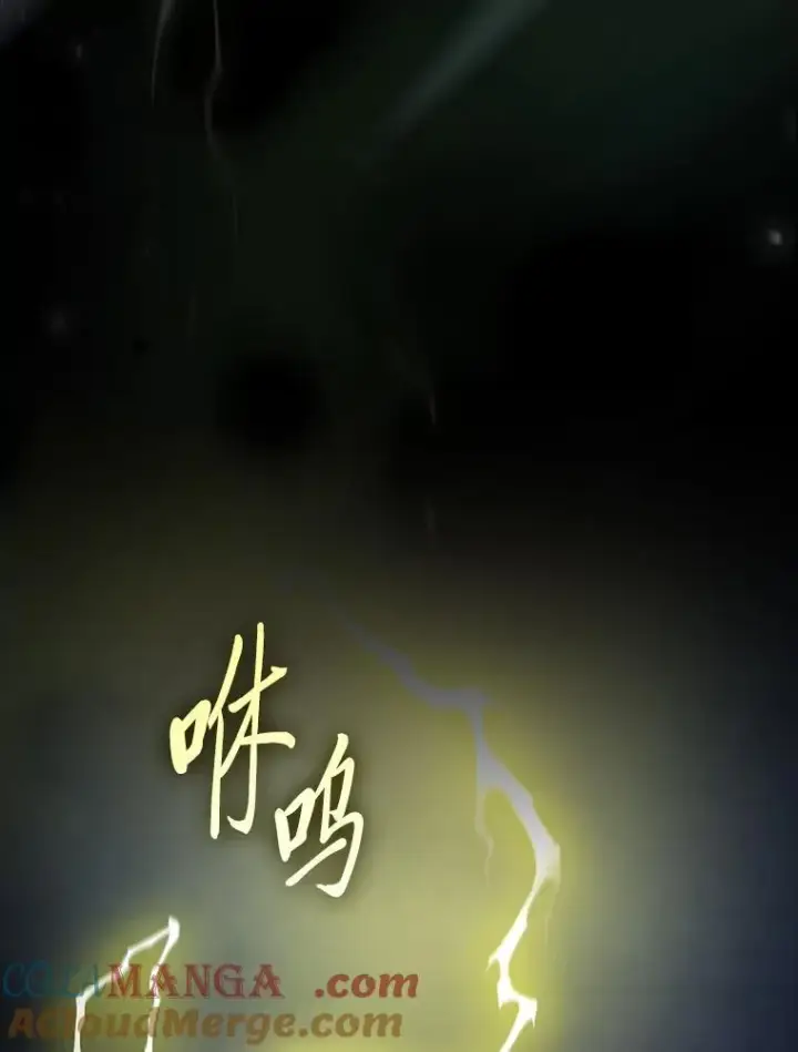 《厌学魔法师想毕业》98.精灵魔法图65