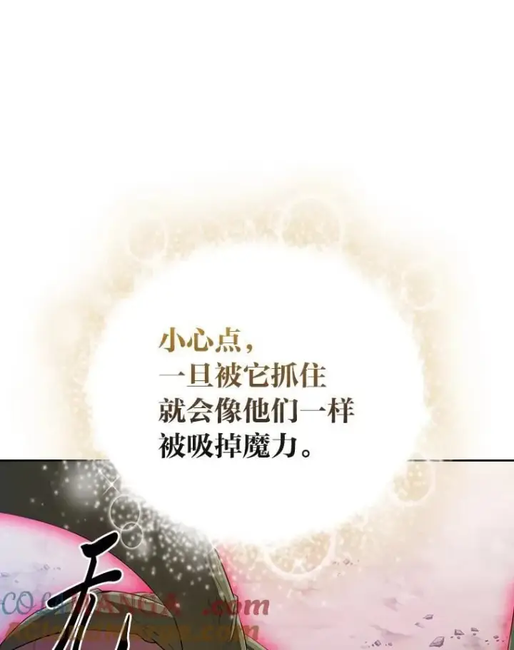 《厌学魔法师想毕业》98.精灵魔法图89