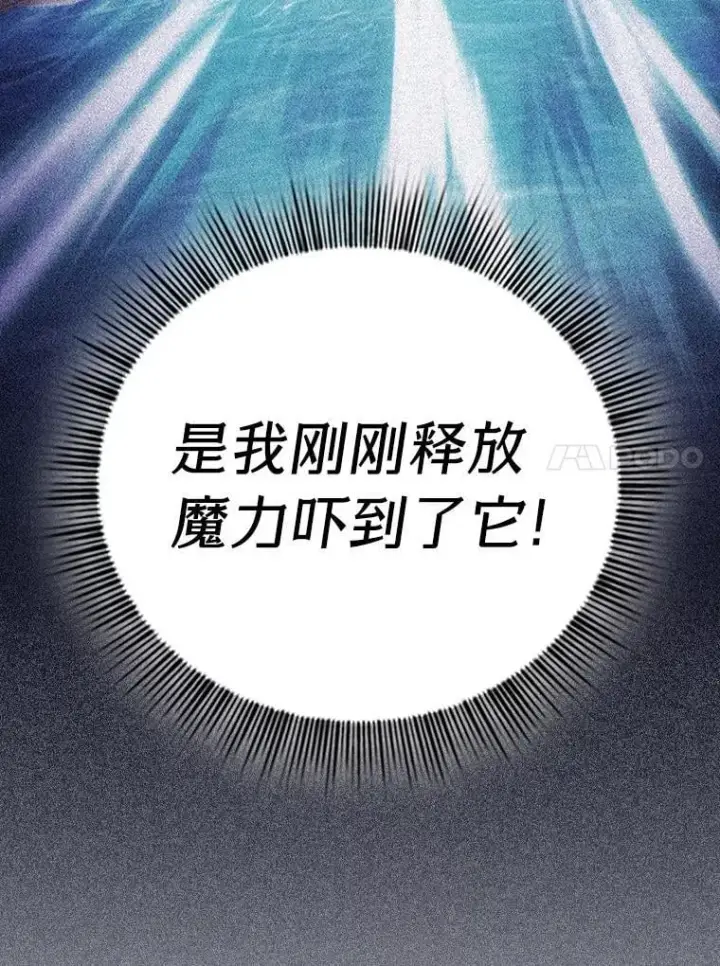 《厌学魔法师想毕业》103.横渡湖泊图94