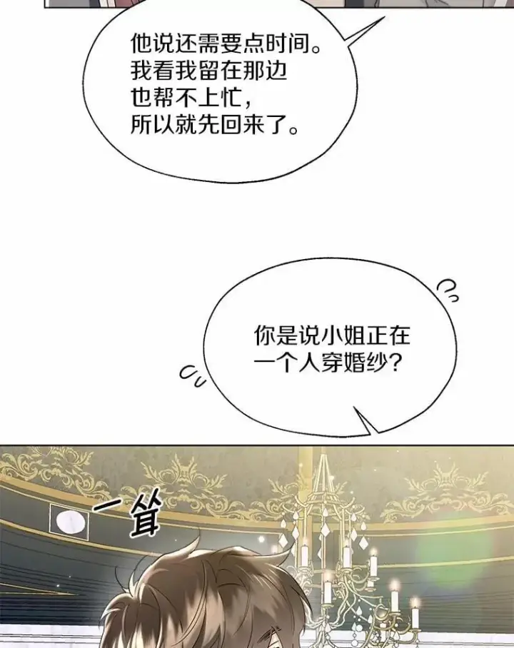 《一不小心娶了女装大佬》外传1.婚纱图30