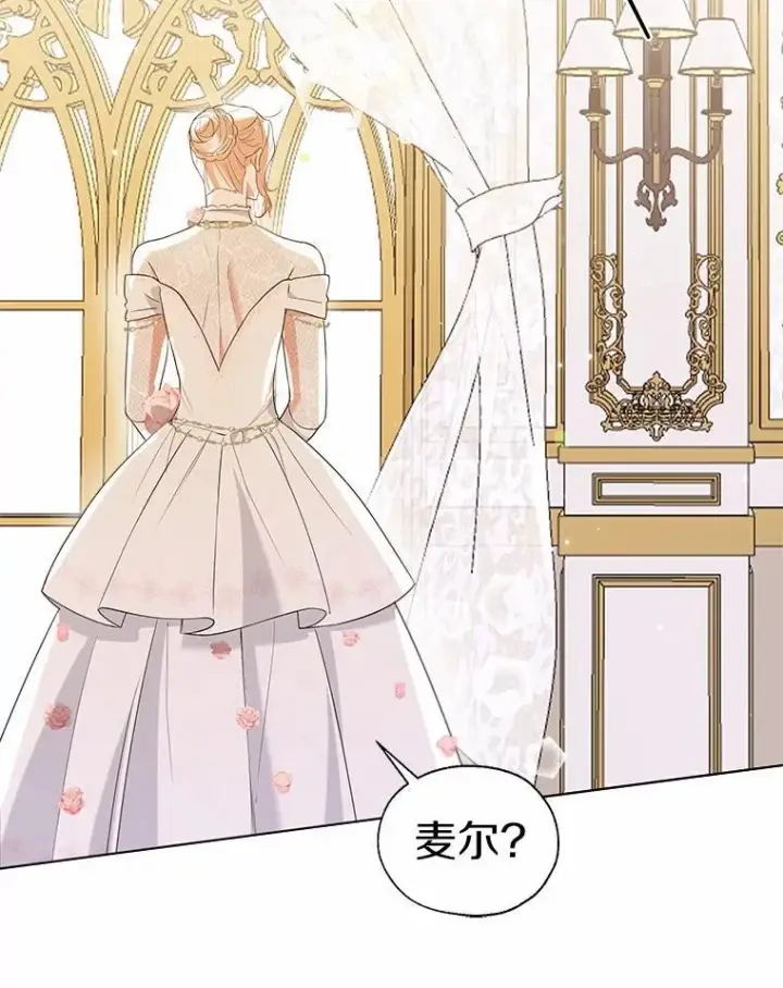 《一不小心娶了女装大佬》外传1.婚纱图42