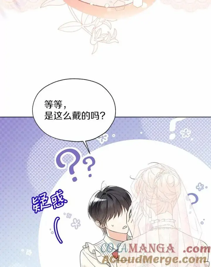 《一不小心娶了女装大佬》外传1.婚纱图79