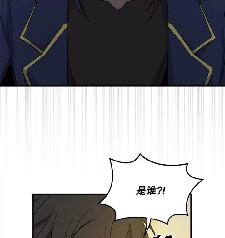 《伊格列特》29.精灵契约图106