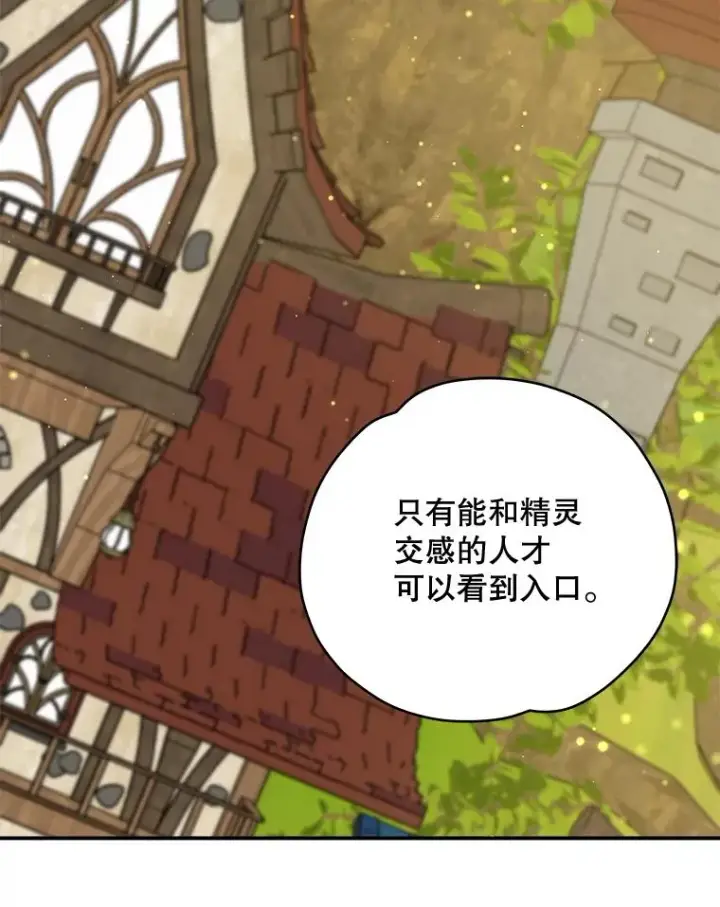 《伊格列特》29.精灵契约图46
