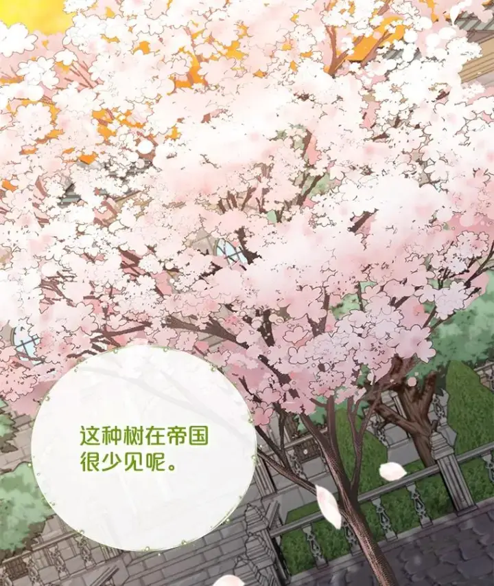 《伊格列特》41.3皇子塞奇图94