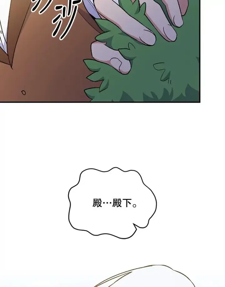 《伊格列特》48.皇帝的陈述图27