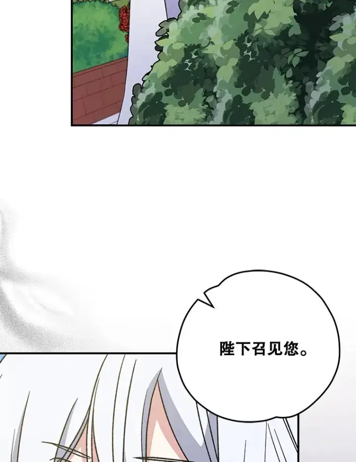 《伊格列特》48.皇帝的陈述图30
