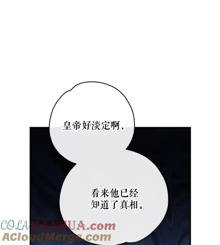 《伊格列特》48.皇帝的陈述图97
