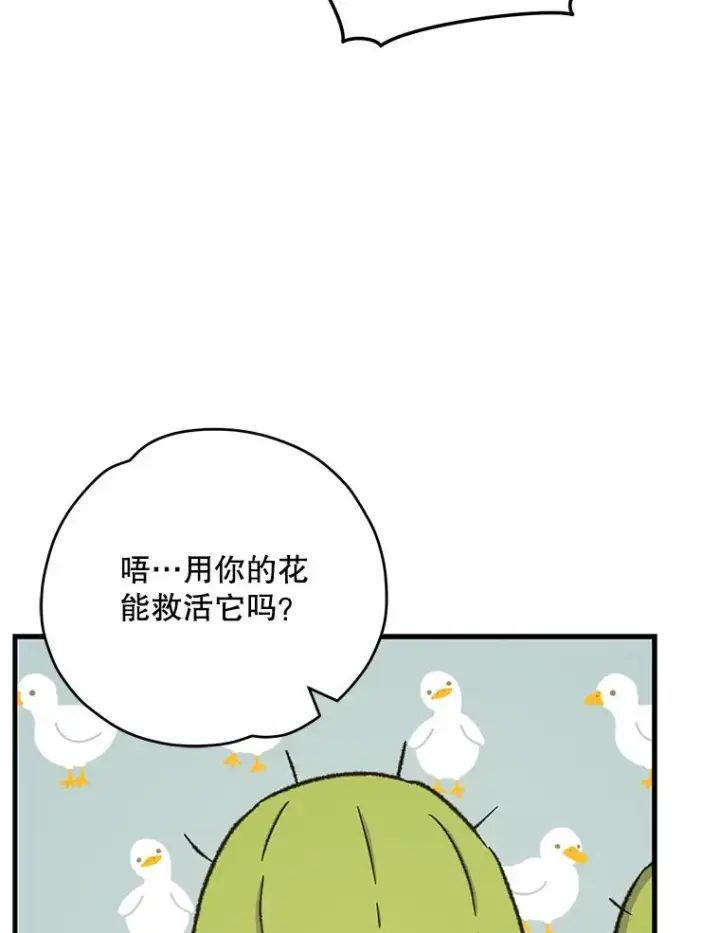 《伊格列特》92.治愈飞蓝龙图31