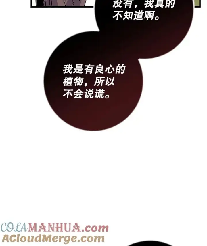 《伊格列特》92.治愈飞蓝龙图37