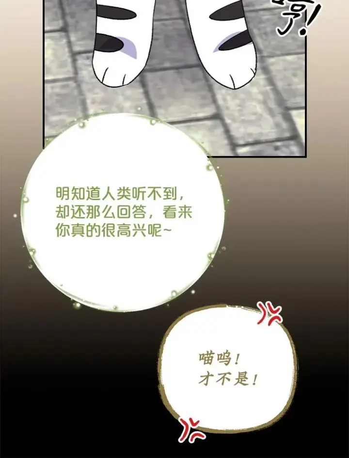 《伊格列特》104.夏允的宫殿图47