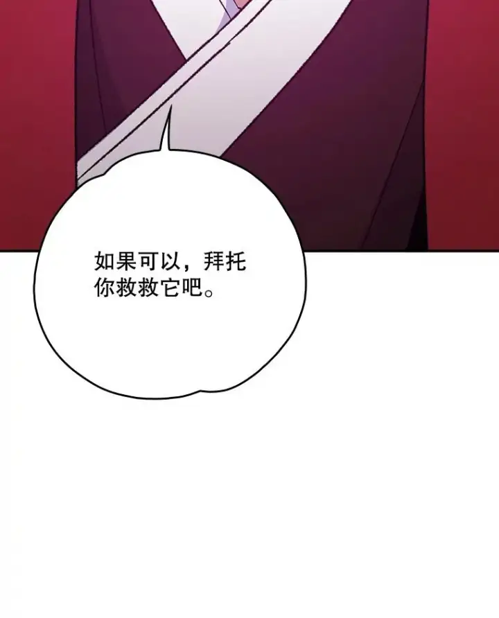 《伊格列特》107.嘉亚图36