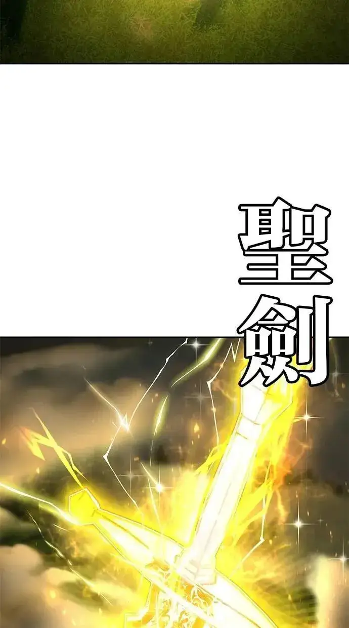 《隐藏实力的幕后高手》第62话 这哪是闪电魔法？应该是闪亮魔法吧！图24