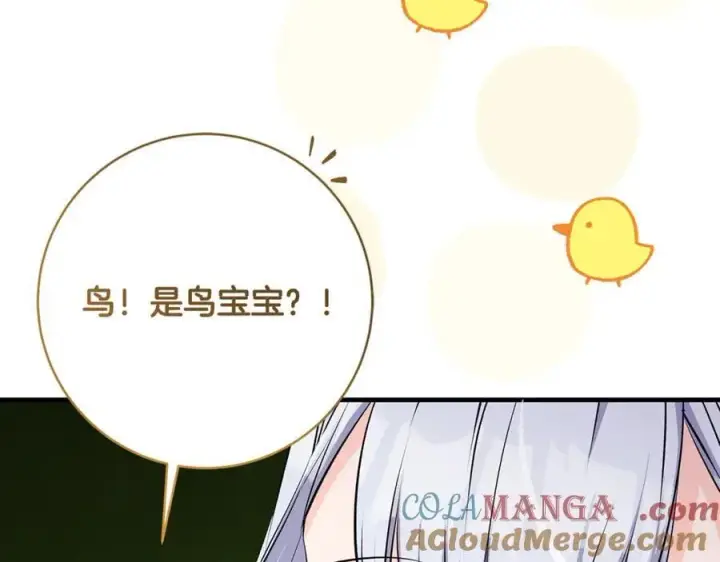 《一切都在孩子脚下》第66话 一只小鸟的缘分图113