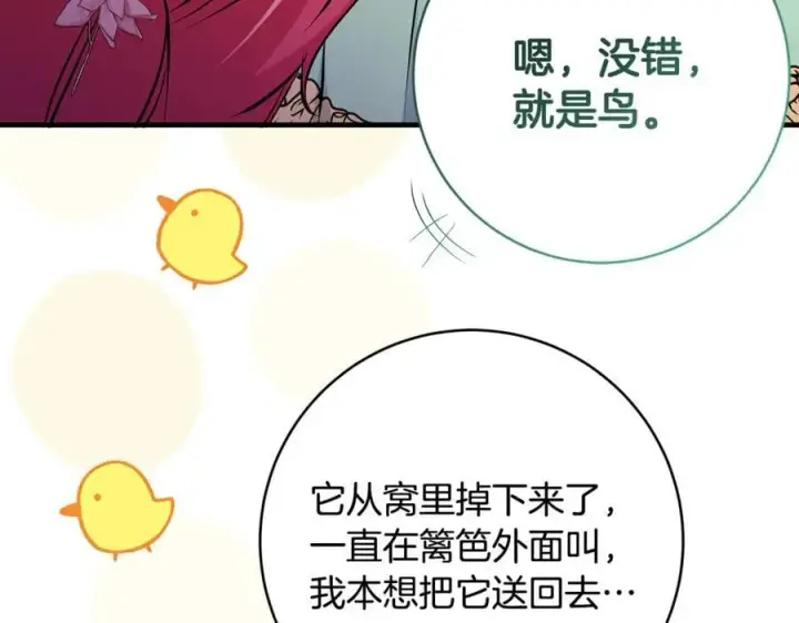 《一切都在孩子脚下》第66话 一只小鸟的缘分图116