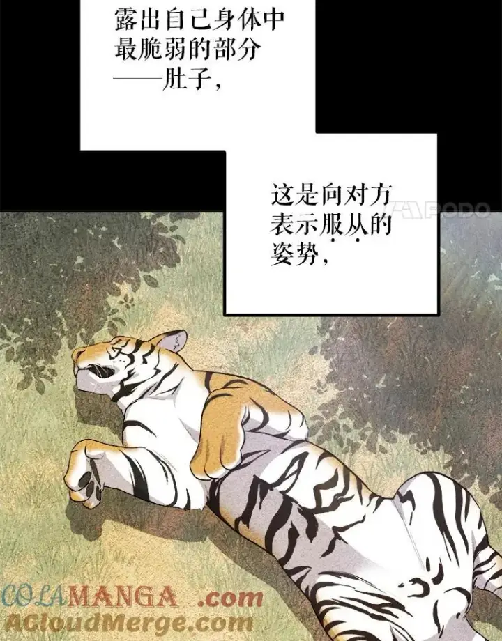 《勇士的圣剑升级路》124.可怕的姐姐们图21