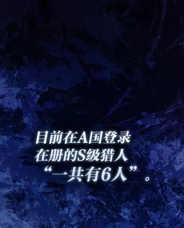 《勇士非也, 魔王是也》85.S级资格审核图13