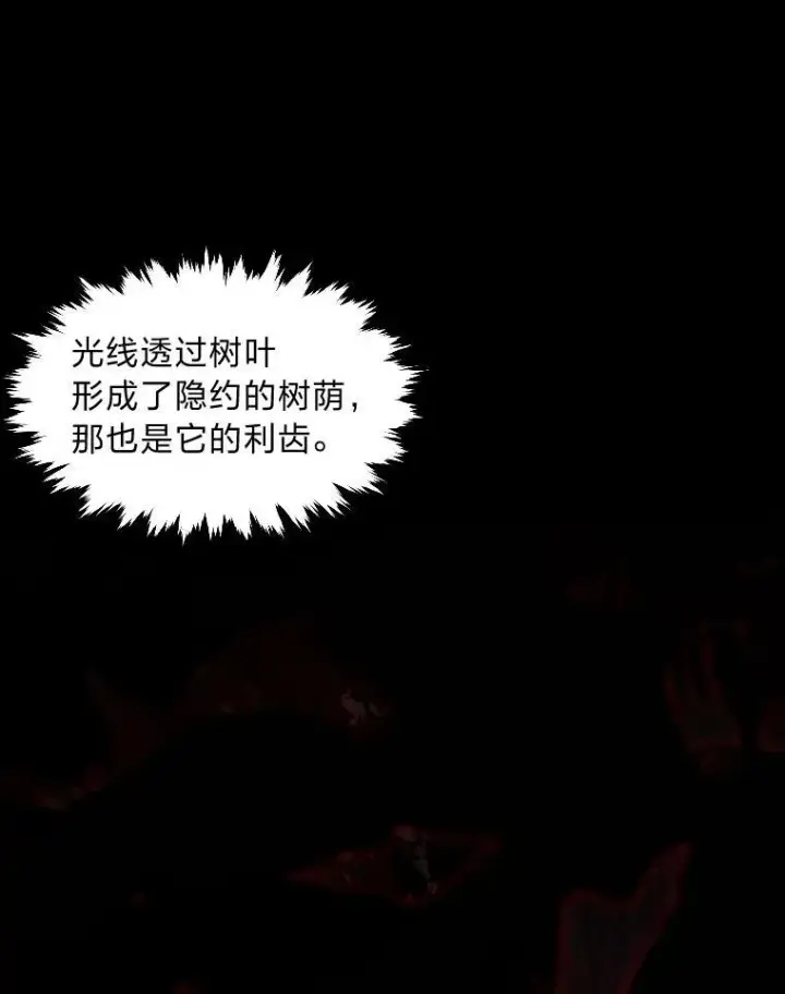 《有才能的魔法师》47.新的传承图14
