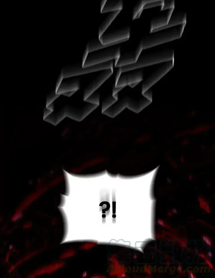 《有才能的魔法师》47.新的传承图28
