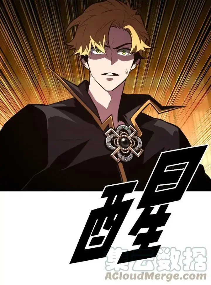 《有才能的魔法师》47.新的传承图40