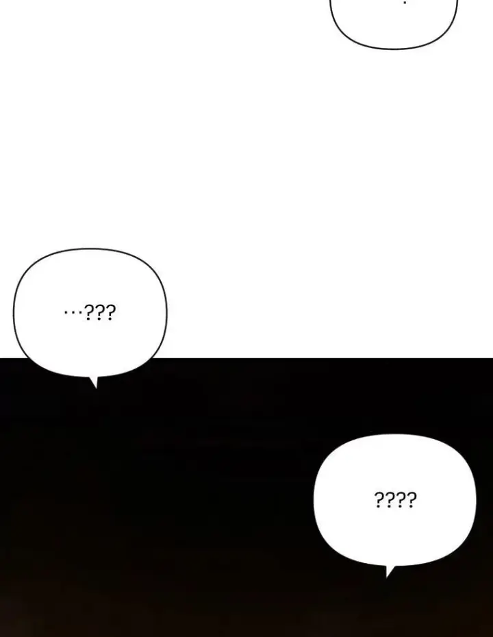 《有才能的魔法师》47.新的传承图42