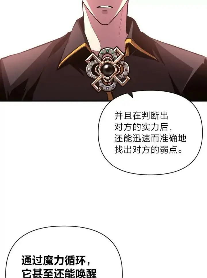 《有才能的魔法师》47.新的传承图60