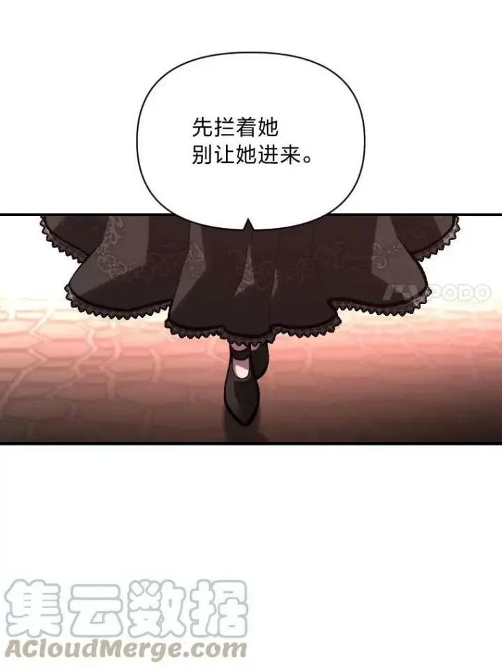 《有才能的魔法师》47.新的传承图91