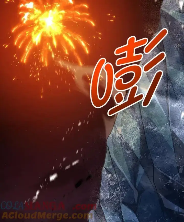 《有才能的魔法师》66.局势陡变图125
