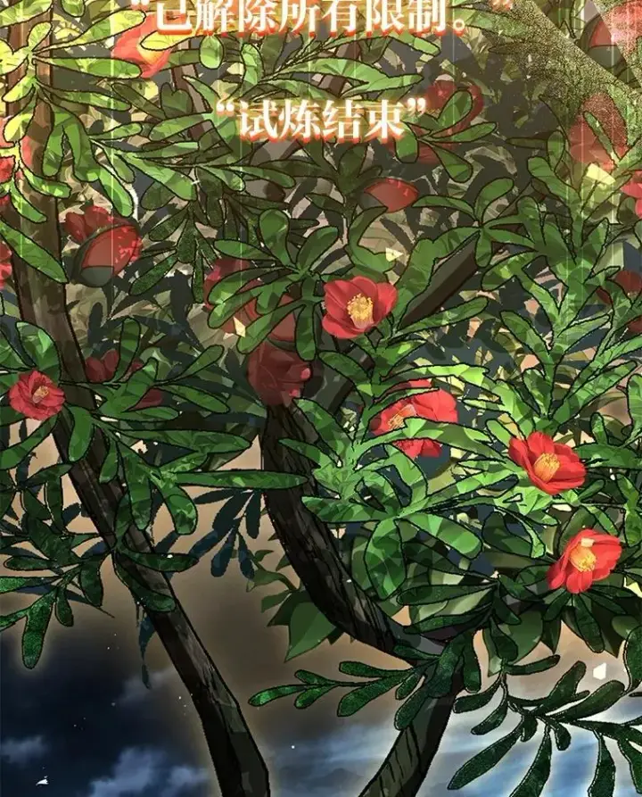 《有才能的魔法师》84.送别礼物图2