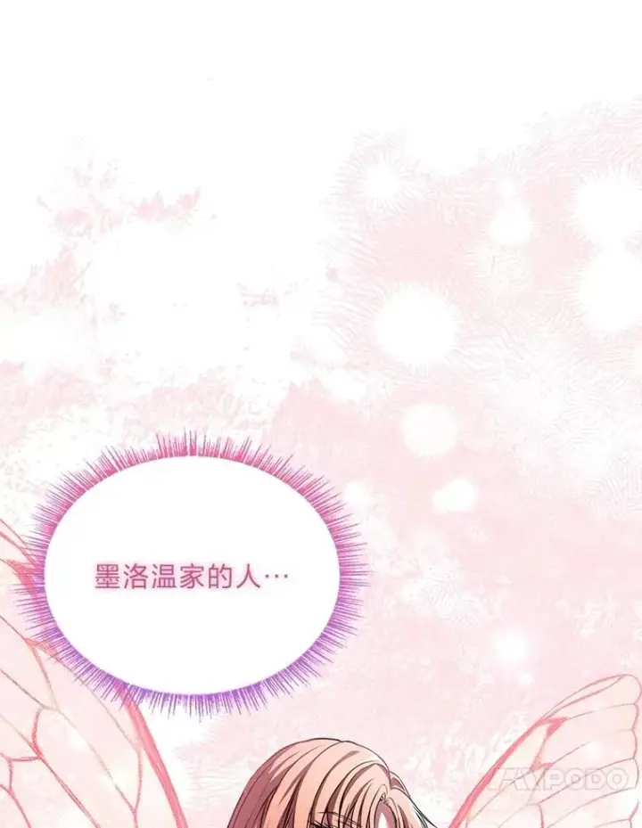 《有才能的魔法师》84.送别礼物图34
