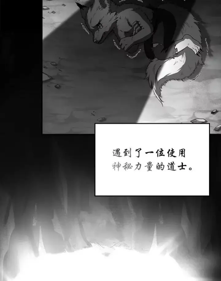 《有才能的魔法师》91.决战血尾王图63
