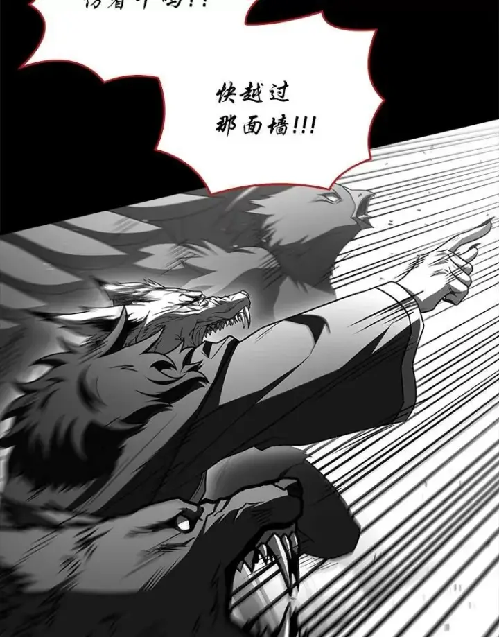《有才能的魔法师》91.决战血尾王图77