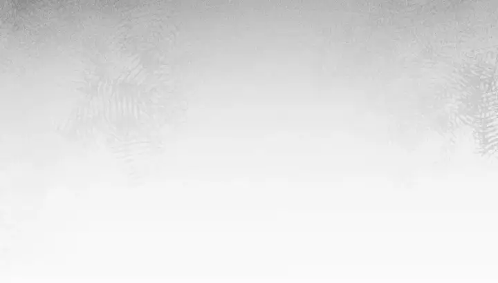 《诱敌深入》22 可是他欺辱你了？图94