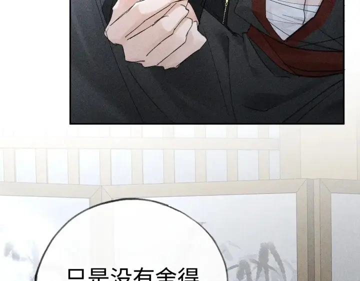 《诱敌深入》43 以他为重图46