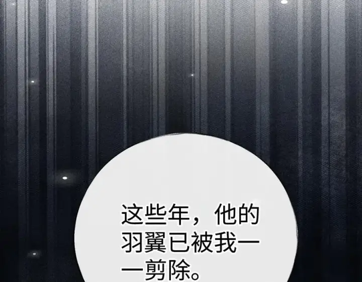 《诱敌深入》70 此生也算共白头图78