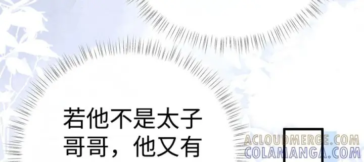 《诱敌深入》72 殿下有个坏主意图13