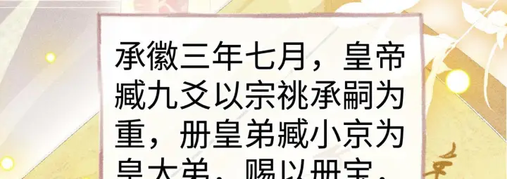 《诱敌深入》80 完结篇图87