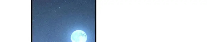 《诱敌深入》番外 多年以后（上）图127