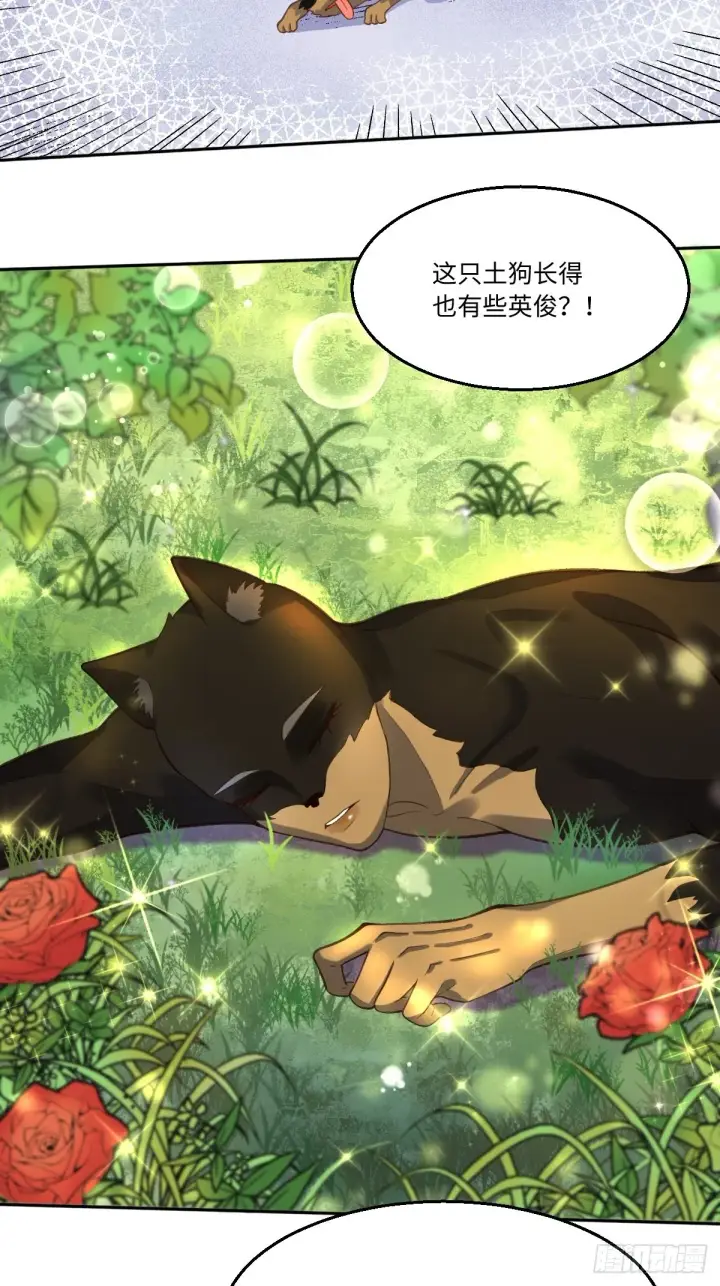 《原来我是修仙大佬》127话图12