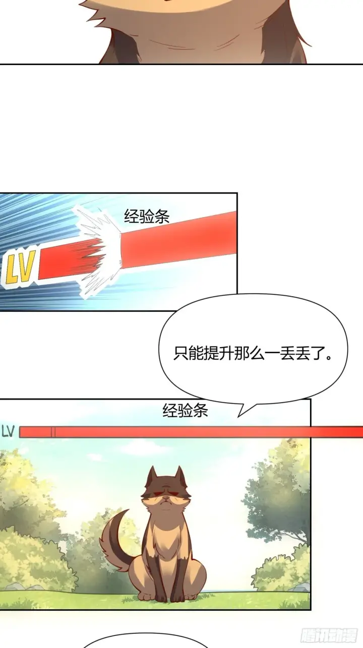 《原来我是修仙大佬》385话图30