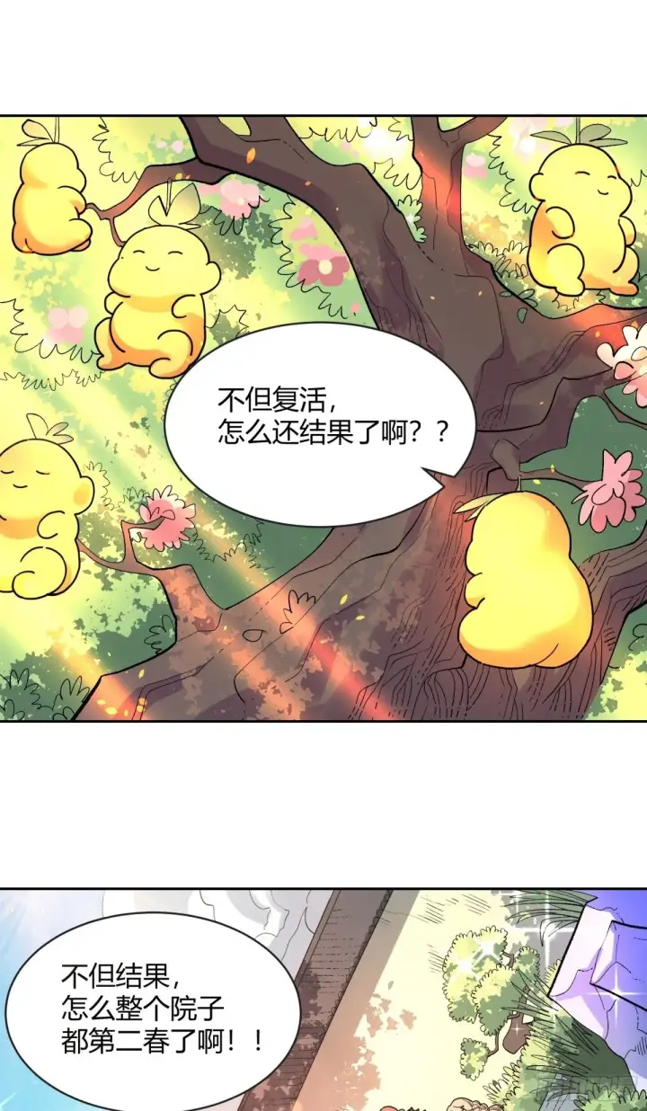 《原来我是修仙大佬》423话图14