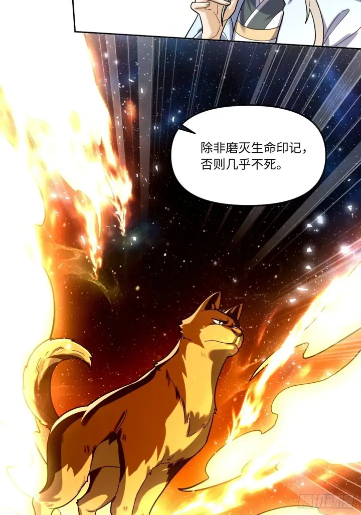 《原来我是修仙大佬》431话图42